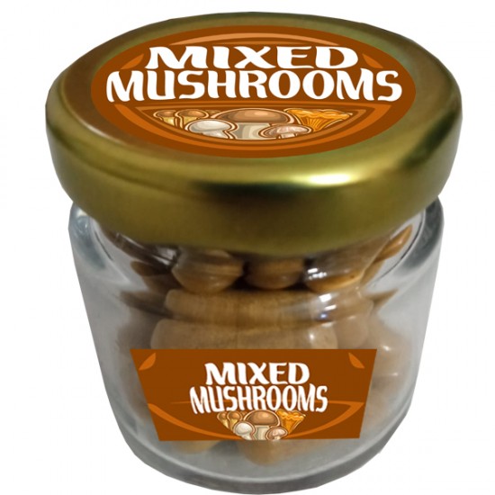 11 ÇEŞİT ÖZEL MANTAR KARŞIMI-MIXED MUSHROOMS